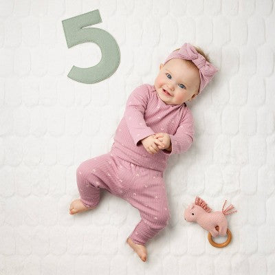  Milestone Felt Numbers - Multi Color - Cloud Island™