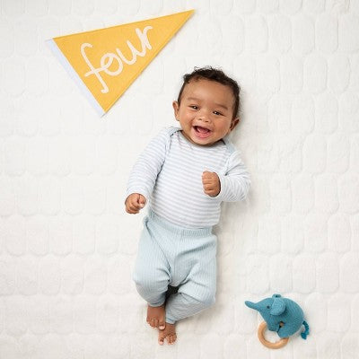  Milestone Felt Pennants - Multi Color - Cloud Island™
